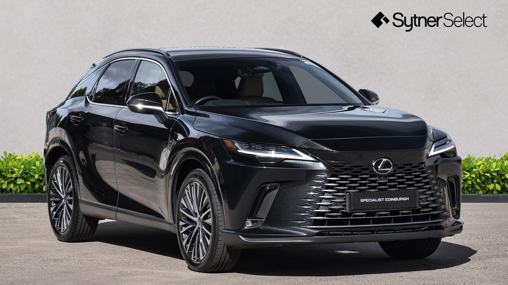2023 Lexus RX