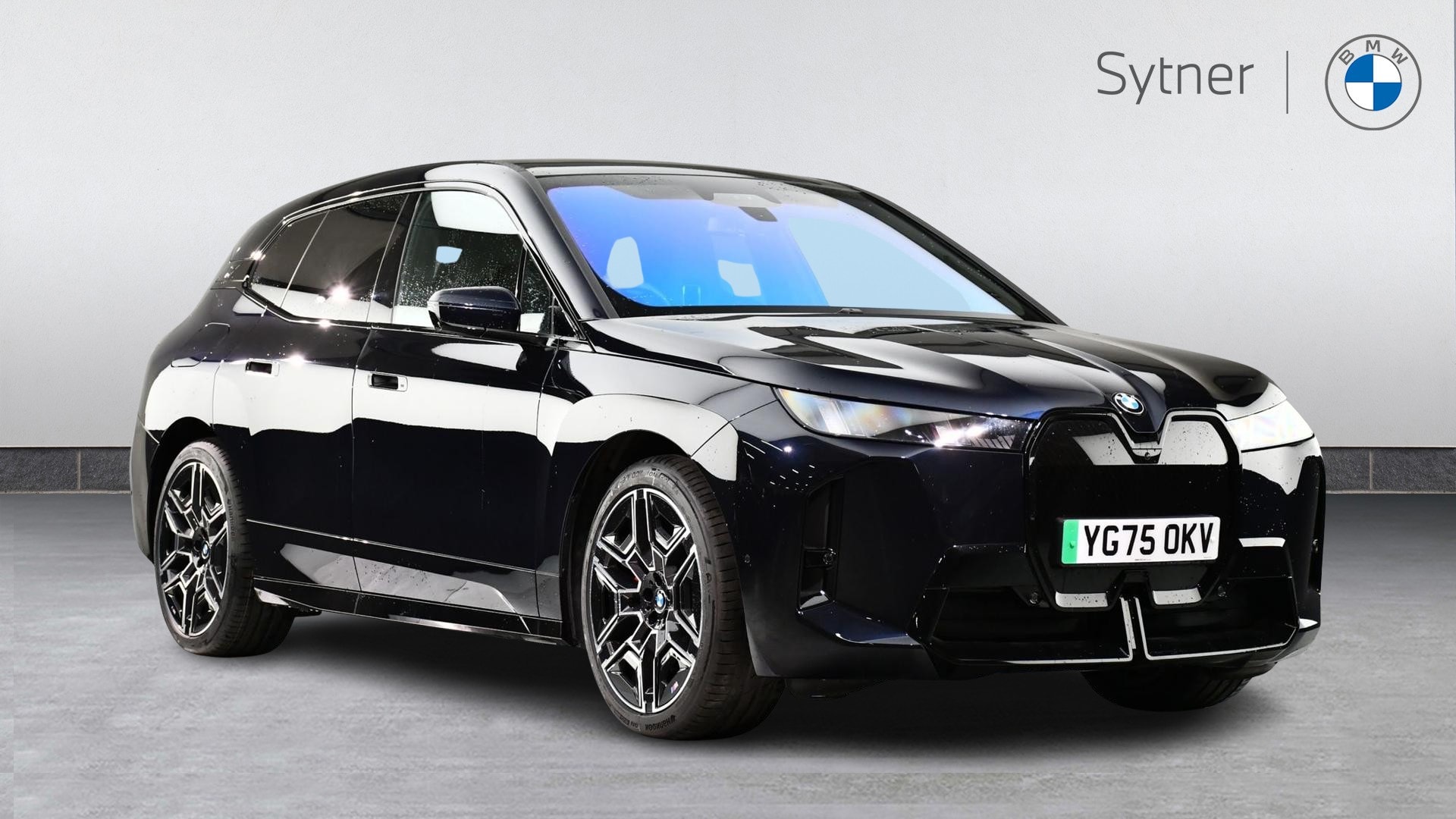 2025 BMW iX