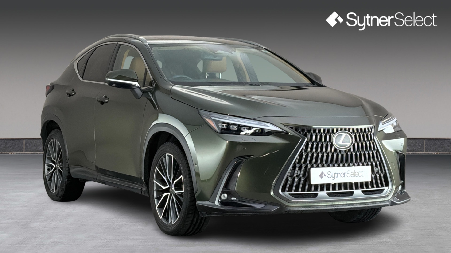 2024 Lexus NX